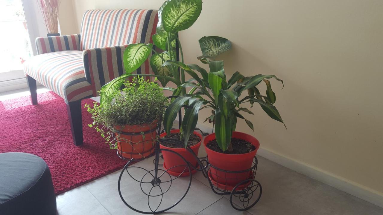 Apartamento Palermo Soho Tango & Wifi Ciudad Autónoma de Buenos Aires